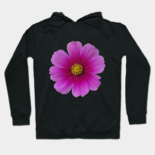 Pink Purple Cosmo Hoodie